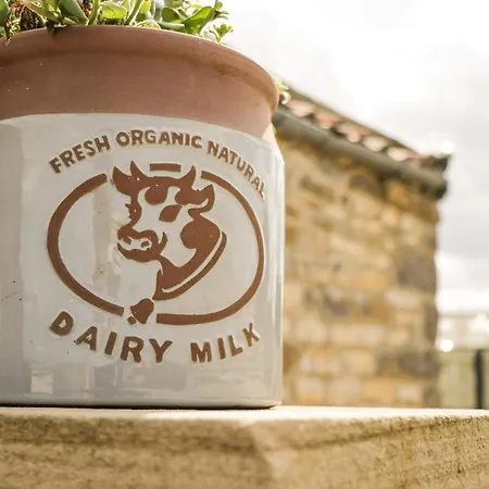 The Cowshed * Whitby